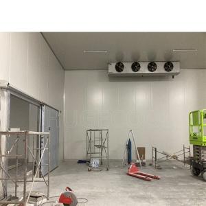 China cold room storage for fruits and vegetables refrigeration unit factory