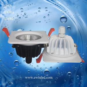 China CE/RoHS 9W LED Waterproof Downlight factory