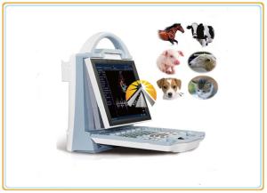 China Animal Ultrasound Scan Machine Durable 6.5MHz R20 Micro Convex Probe factory