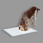 Household Lightweight Eco Friendly Hygiene Wee Wee Pads
