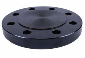 China 150-600 Class Customized Steel Blind Flange For Industrial Pipework factory