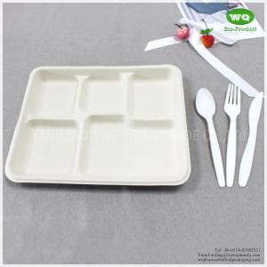 China 100% Biodegradable Sugarcane Pulp 5 Compartments Tray-High quality Biodegradable food tray For birthday parties factory