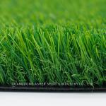 Ornamental Indoor Natural Artificial Turf 30mm Pile Height Grass Carpet Type