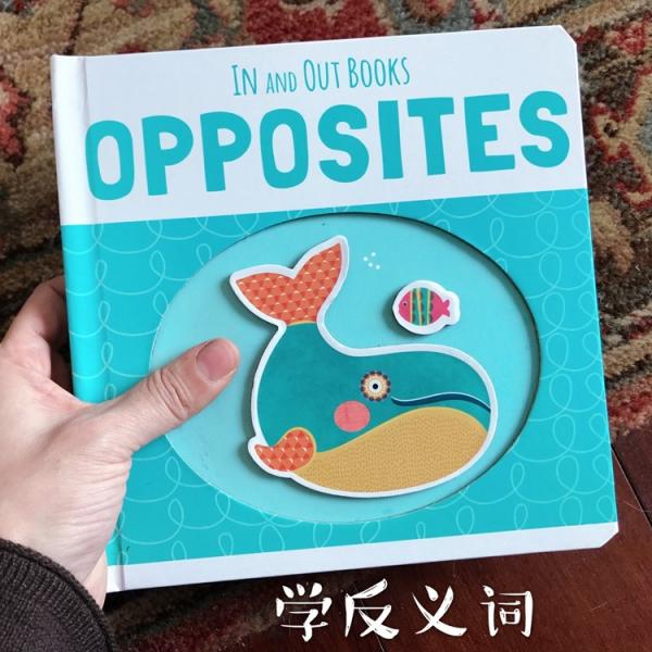 China Custom Photo Board Book For Babies And Toddlers Early Education Offset Printing factory