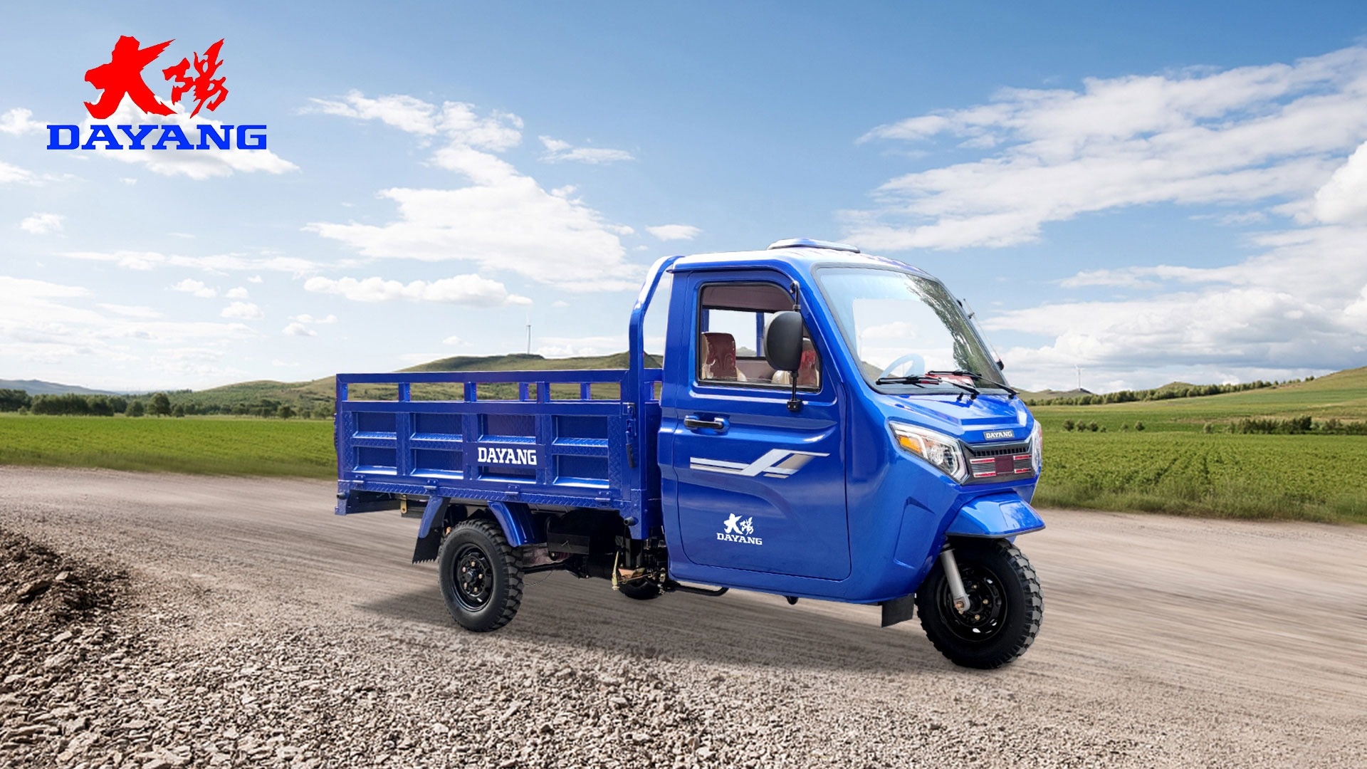 5.0-12 Tires and 150/200/250/300cc Engine Tricycles The Ultimate Moto Experience