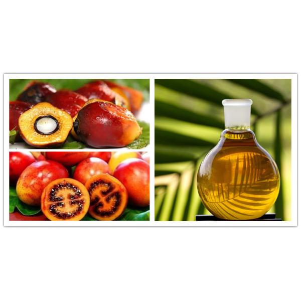 Self Cleaning Automatic Disc Separator - Centrifuge Palm Oil Processing Machine