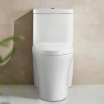 Sterling Elongated Bathroom Toilets Surface Self Cleaning 690X362X765MM