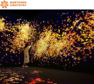 China Digital Art Projection Mapping Museum/Exhibition Immersive 360 Wall Projection factory
