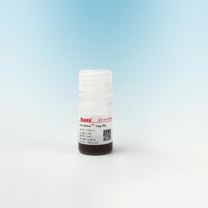 China Protein Purification Amino Magnetic Silica Beads 500nm 10 mg / mL 50 mL factory