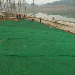 Modern Design 3D Geomat The Best Choice for Slope Protection and Grass Seed