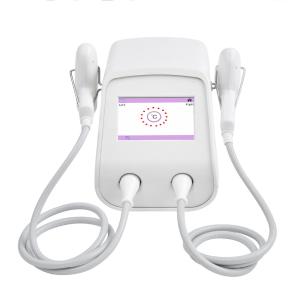 China 2 Handle Nano RF Microneedling Machine Acne Scar Removal Laser Machine factory