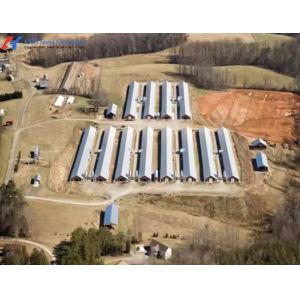 Prefabricated Steel Structure Chicken Farm House for Poultry Breeding