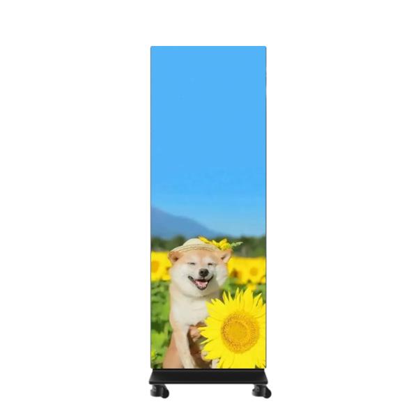 P0.9 LED Poster Display Front Service Standing & Foldable Cabinet 1x5 For Showing