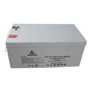 China Rechargeable Lithium Ion 24v Lifepo4 Battery 100ah 200ah 300ah 400ah For RV / Marine factory