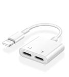 Universal 2 In 1 Audio RoHS Lightning Adapter Cable