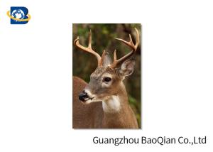 China Animal Lenticular Greeting Cards , Deer 3D Greeting Cards For Christmas / New Year factory