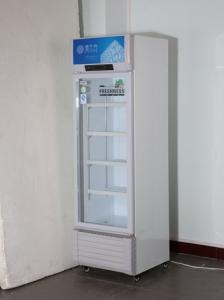 China Commercial Mechanical Temperature-Controlled Beverage Display Freezer factory