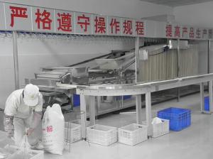 China Stick Noodle Making Vermicelli Production Line With Advanced Technology factory