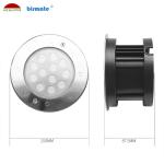 RGB Color Change SS316L Underwater Spot Light, External Control IP68 Pool