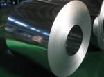 Roofs Applied Hot Dip Galvanized Steel Coil DX51D+Z Galvanized Steel Coils /
