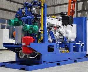 China 100-120kW Biogas Heat &amp; Power Cogeneration CHP Plant factory