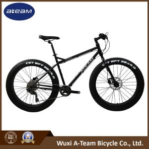 China 26 Inch 21 Speed 24 Inch Fat Tire Mountain Bike Full Suspension Frame factory
