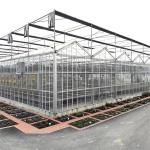 Customizable High Durability Multispan Greenhouse Rain Resistant
