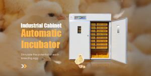 China Industrial Automatic Egg Hatching Incubator Double-Layer Observation Window 220v factory
