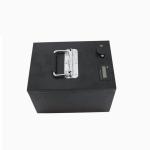 Electric Moped TS16949 18650 48V 30Ah Lithium Battery