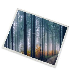 4.3-Inch WLED LQ043T1DG01 LCD Module 480*272 Resolution TFT Panel ODM Suppliers