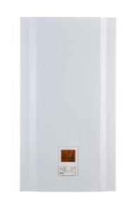China Stainless Steel Wall Hung Gas Boiler For Space Heating Domestic Hot Water factory