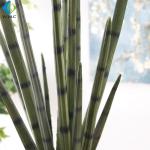Garden Decoration Artificial Potted Plants , Desert Tropical Cactus Plant Pot