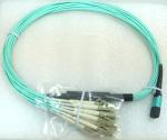 Plenum Jacket Female MTP MPO Fiber Elite Cable Assembly