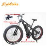 48 V 1000w Mid Drive Motor Fat Tire Powerful Electric Bike For Ladies , No