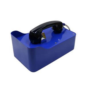 Tactile Keypad Hook Switch Vandal Resistant Telephone