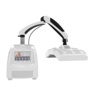 China PDT Lamp LED Phototherapy Machine Skin Tightening LED PDT Machine factory