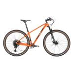 29 Inch Wheel Carbon Fiber Mountain Bike SRAM SX 12S Hydraulic Disc Brake