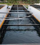Integrated Industrial Wastewater Treatment Plant For Urban And Rural Domestic