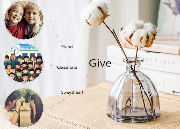 Colored Decorative Glass Vases , Large Clear Glass Vase OEM Service
