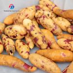 1500KG/H Agricultural products equipment, root and stem peeling cleaning machine