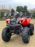 Atv Four Wheel Drive Beach Buggy 4X4 1000cc