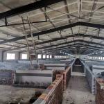 Farm Plant Large Span Prefab Steel Structure Workshop Easy Assemble Repair