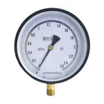 High Precision Customizable Stainless Steel Digital Pressure Gauge for Liquid