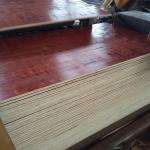 18mm high quality best selling film faced plywood for construction