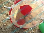 manual corn seeder, corn planter