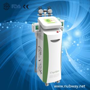 China Newest vertical Cryolipolysis Slimming Machine / Fat Freezing Cryolipolysis factory