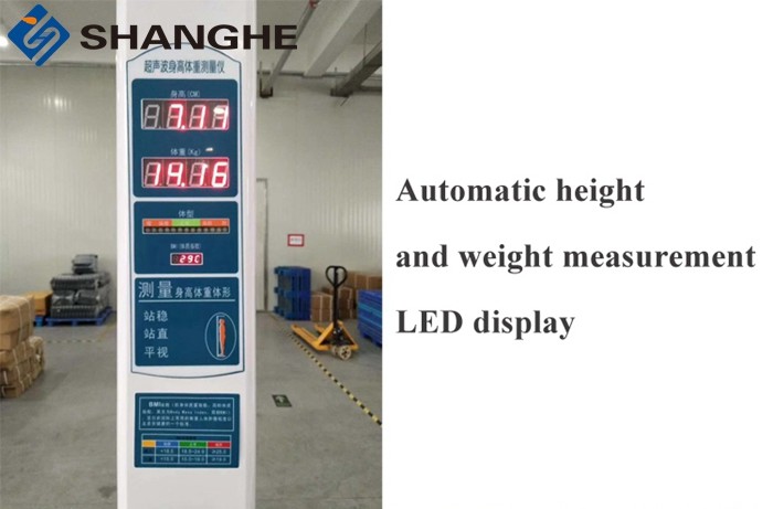 Accurate Body Weight And Height Scale For Hospitals / Clinics Customized Color