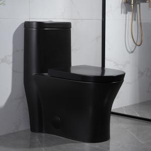 China 300mm Siphonic One Piece Toilet American Standard Black Porcelain factory