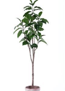 China Lush Apperence Artificial Ficus Tree , Fake Ficus Plant Perfect Botanical Mix factory