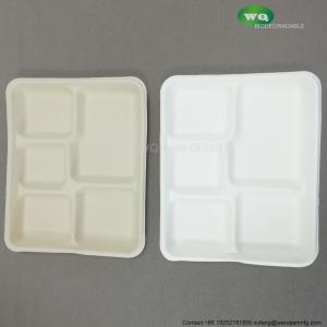 China 100% Biodegradable Sugarcane Pulp 5 Compartment Tray Natural Bagasse Eco-Friendly Compostable Melamine Dinner Plate factory